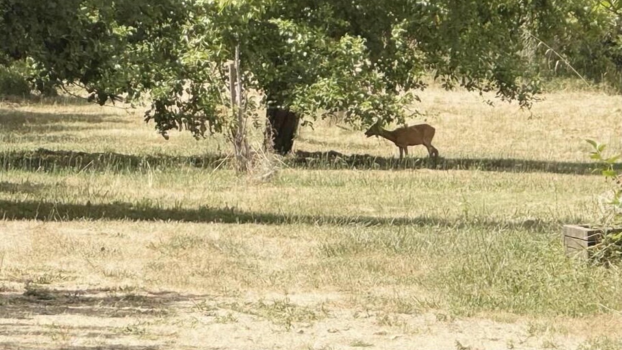 Photo of Others in Meyrals