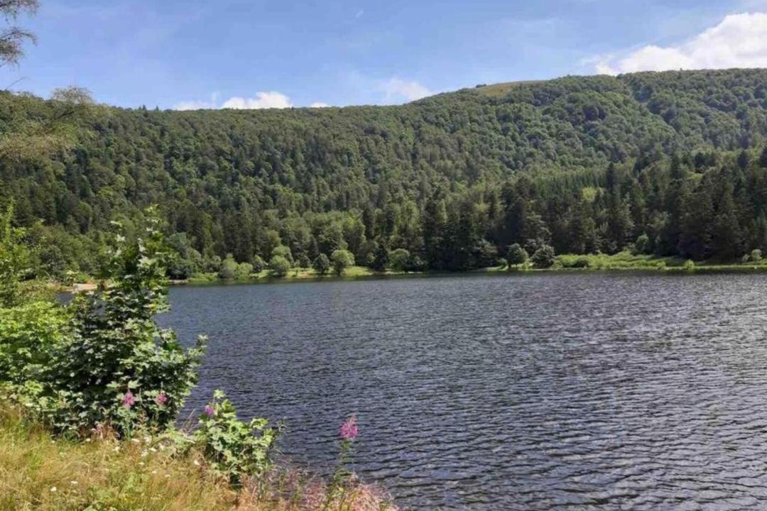 Photo of Others in Saulxures-sur-Moselotte