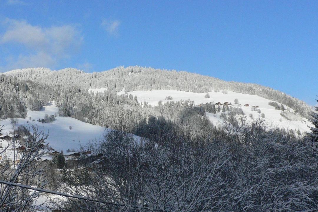 Photo of Others in Megeve